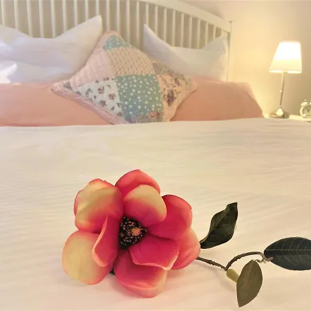 Magnolia *